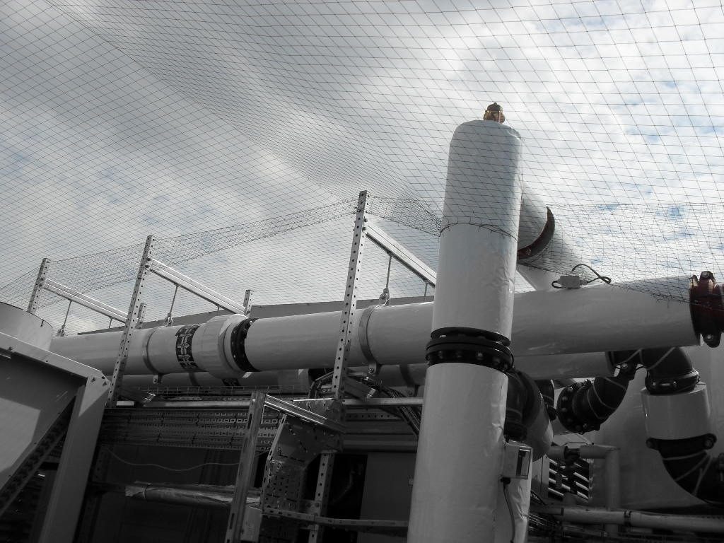 Bird Control in Bolton, Greater Manchester